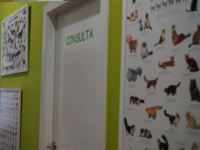 clinica_veterinaria_os_durans_villagarcía_instalaciones_consulta