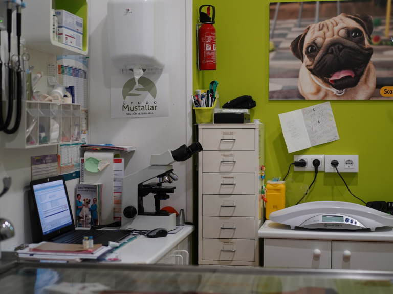 clinica_veterinaria_os_durans_villagarcía_instalaciones_consulta_3
