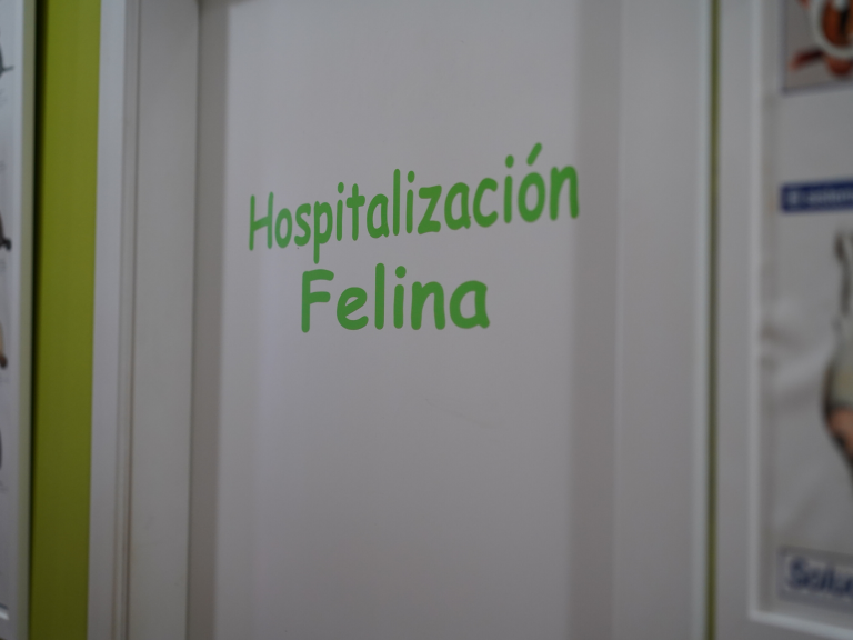 clinica_veterinaria_os_durans_villagarcía_instalaciones_hospital_felino