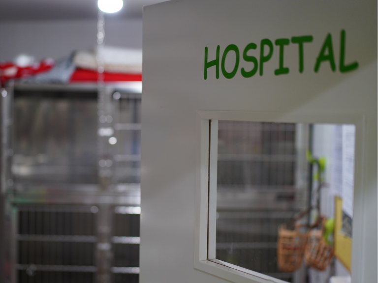 clinica_veterinaria_os_durans_villagarcía_instalaciones_hospital_perros